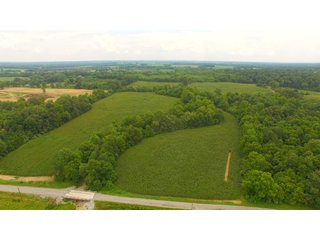 TRACT 70 - ILLINOIS LAND AUCTION - 4,810+/- ACRES OFFERED IN 85 TRACTS IN FRANKLIN, WILLIAMSON, HAMILTON & SALINE COUNTIES, ILLINOIS